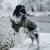 THE DOG IDEA Hundewintermantel Easton Khaki THE DOG IDEA Hundewintermantel Easton Khaki