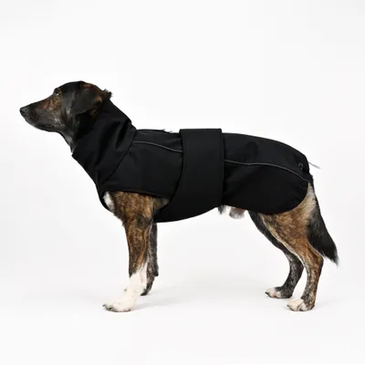 THE DOG IDEA Hundewintermantel Easton Schwarz