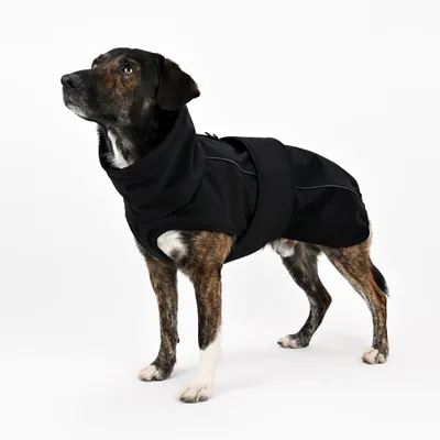 THE DOG IDEA Hundewintermantel Easton Schwarz