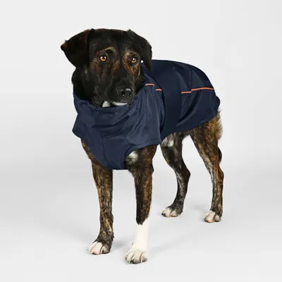 THE DOG IDEA Hundewintermantel Easton Navy THE DOG IDEA Hundewintermantel Easton Navy