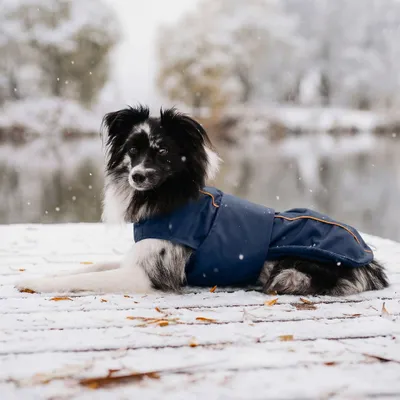 THE DOG IDEA Hundewintermantel Easton Navy THE DOG IDEA Hundewintermantel Easton Navy