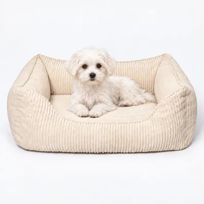 PAW WOW Hundebett ANTON Cord Beige