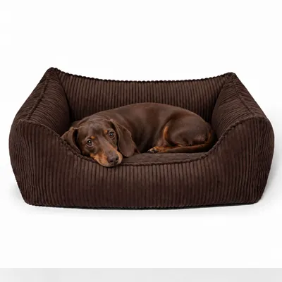 PAW WOW Hundebett ANTON Cord Braun