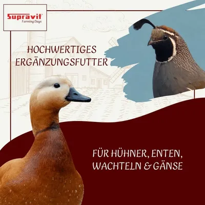 Supravit Bierhefe für Geflügel - Ergänzungsfuttermittel Supravit Bierhefe für Geflügel - Ergänzungsfuttermittel