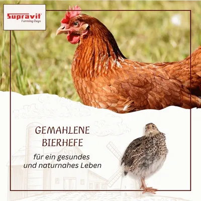 Supravit Bierhefe für Geflügel - Ergänzungsfuttermittel