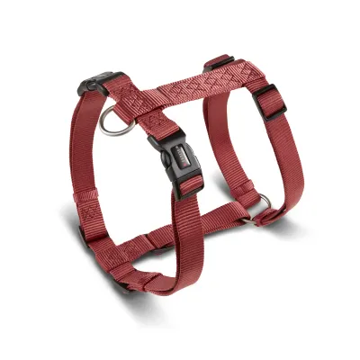 WOLTERS Professional Geschirr Mops & Co., Hundegeschirr