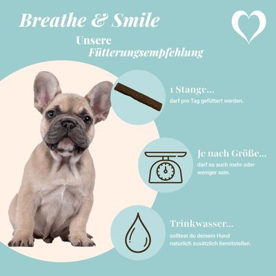 LEO LÖWENHERZ Breathe and Smile 400g Dental Sticks für Hunde mit Minze