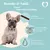 LEO LÖWENHERZ Breathe and Smile 400g Dental Sticks für Hunde mit Minze LEO LÖWENHERZ Breathe and Smile 400g Dental Sticks für Hunde mit Minze