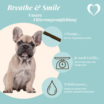 LEO LÖWENHERZ Breathe and Smile 400g Dental Sticks für Hunde mit Minze LEO LÖWENHERZ Breathe and Smile 400g Dental Sticks für Hunde mit Minze