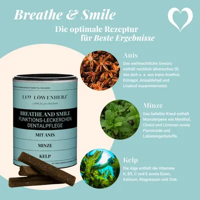 LEO LÖWENHERZ Breathe and Smile 400g Dental Sticks für Hunde mit Minze