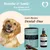 LEO LÖWENHERZ Breathe and Smile 400g Dental Sticks für Hunde mit Minze LEO LÖWENHERZ Breathe and Smile 400g Dental Sticks für Hunde mit Minze