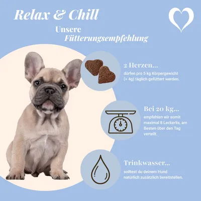 LEO LÖWENHERZ Relax and Chill 370g Beruhigungsleckerlis für Hunde LEO LÖWENHERZ Relax and Chill 370g Beruhigungsleckerlis für Hunde