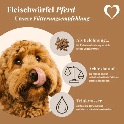 LEO LÖWENHERZ Fleischwürfel Pferd 0,5kg Hundebelohnungssnack