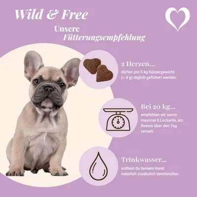 LEO LÖWENHERZ Wild and Free 370g Hundeleckerli mit Bierhefe & Zistrose LEO LÖWENHERZ Wild and Free 370g Hundeleckerli mit Bierhefe & Zistrose