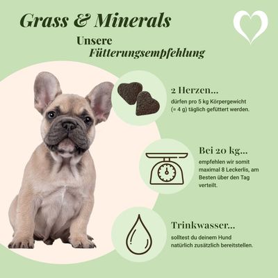 LEO LÖWENHERZ Gras und Minerals 370g Hundeergänzungsfutter