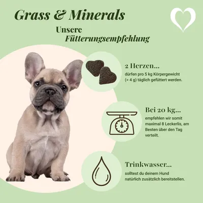 LEO LÖWENHERZ Gras und Minerals 370g Hundeergänzungsfutter LEO LÖWENHERZ Gras und Minerals 370g Hundeergänzungsfutter