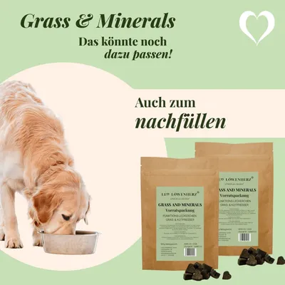 LEO LÖWENHERZ Gras und Minerals 370g Hundeergänzungsfutter LEO LÖWENHERZ Gras und Minerals 370g Hundeergänzungsfutter