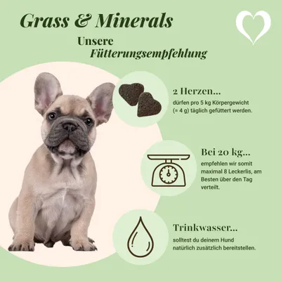 LEO LÖWENHERZ Gras und Minerals 370g Hundeergänzungsfutter