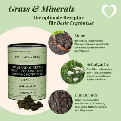 LEO LÖWENHERZ Gras und Minerals 370g Hundeergänzungsfutter LEO LÖWENHERZ Gras und Minerals 370g Hundeergänzungsfutter