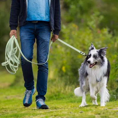 THE DOG IDEA Schleppleine für Hunde Mint THE DOG IDEA Schleppleine für Hunde Mint