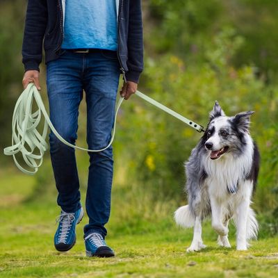 THE DOG IDEA Schleppleine für Hunde Mint