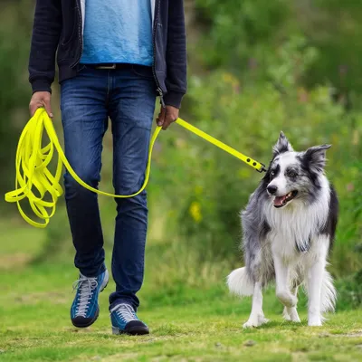 THE DOG IDEA Schleppleine für Hunde Neongelb
