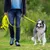 THE DOG IDEA Schleppleine für Hunde Neongelb THE DOG IDEA Schleppleine für Hunde Neongelb