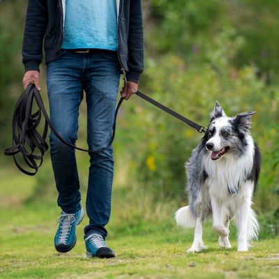 THE DOG IDEA Schleppleine für Hunde Schwarz