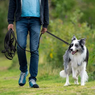 THE DOG IDEA Schleppleine für Hunde Schwarz