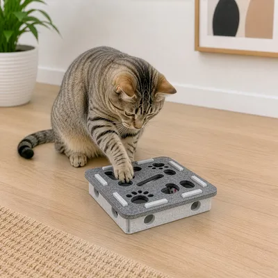 Canadian Cat Company Katzenspielzeug PLATY aus Filz Canadian Cat Company Katzenspielzeug PLATY aus Filz