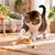 Canadian Cat Company Katzenspielzeug aus Naturseil Spielseil
