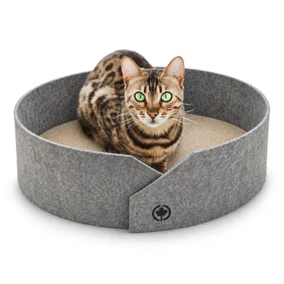 Canadian Cat Company Katzenbett OWEN