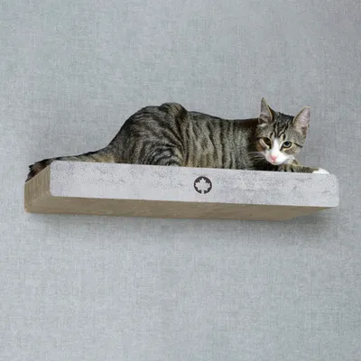 Canadian Cat Company Wandkratzbrett CLOUD Liegefläche & Kletterstufe