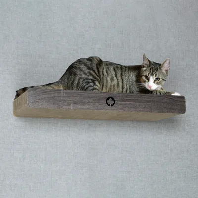 Canadian Cat Company Wandkratzbrett CLOUD Liegefläche & Kletterstufe