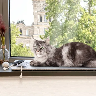 Canadian Cat Company Fensterschlafplatz Filzmatte gepolstert Canadian Cat Company Fensterschlafplatz Filzmatte gepolstert
