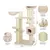 Canadian Cat Company Kratzbaum BROCKVILLE Canadian Cat Company Kratzbaum BROCKVILLE