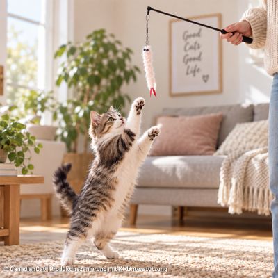 Canadian Cat Company Katzenangel-Anhänger Garnele Ebi Tempura