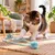 Canadian Cat Company Katzenspielzeug Flex-Schlange aus Plüsch für die Wand Canadian Cat Company Katzenspielzeug Flex-Schlange aus Plüsch für die Wand