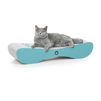Canadian Cat Company Kratzbrett SATELLITE Kratzpappe Canadian Cat Company Kratzbrett SATELLITE Kratzpappe