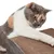 Canadian Cat Company Kratzbrett SATELLITE Kratzpappe Canadian Cat Company Kratzbrett SATELLITE Kratzpappe