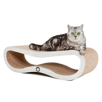Canadian Cat Company Kratzbrett ORBIT Kratzpappe Canadian Cat Company Kratzbrett ORBIT Kratzpappe