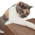 Canadian Cat Company Kratzbrett SATELLITE Kratzpappe Canadian Cat Company Kratzbrett SATELLITE Kratzpappe