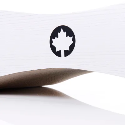 Canadian Cat Company Kratzbrett SATELLITE Kratzpappe