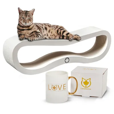 Canadian Cat Company Kratzbrett Set ORBIT 2.0 & LOVE-Tasse Canadian Cat Company Kratzbrett Set ORBIT 2.0 & LOVE-Tasse