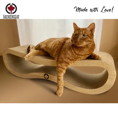 Canadian Cat Company Kratzbrett ORBIT Kratzpappe Canadian Cat Company Kratzbrett ORBIT Kratzpappe