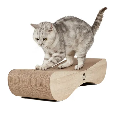 Canadian Cat Company Kratzbrett SATELLITE Kratzpappe Canadian Cat Company Kratzbrett SATELLITE Kratzpappe