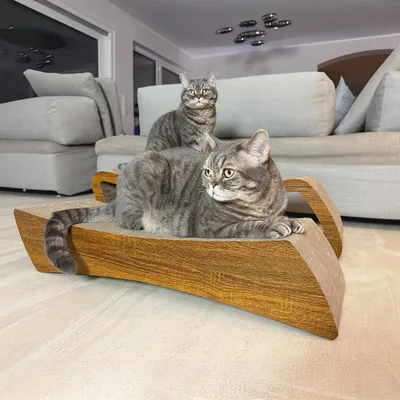 Canadian Cat Company Kratzbrett PULSAR