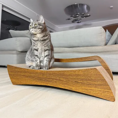 Canadian Cat Company Kratzbrett PULSAR