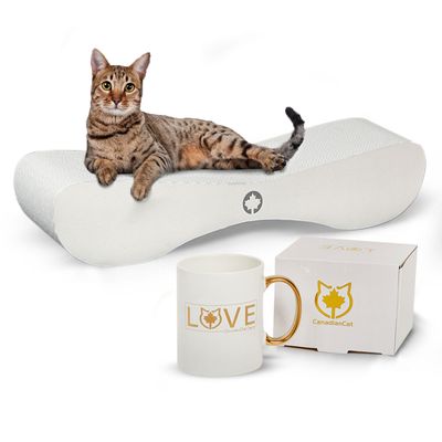 Canadian Cat Company Kratzbrett SATELLITE 2.0 & LOVE-Tasse