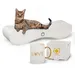 Canadian Cat Company Kratzbrett SATELLITE 2.0 & LOVE-Tasse